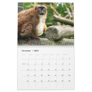 Lemur Calendar 2027
