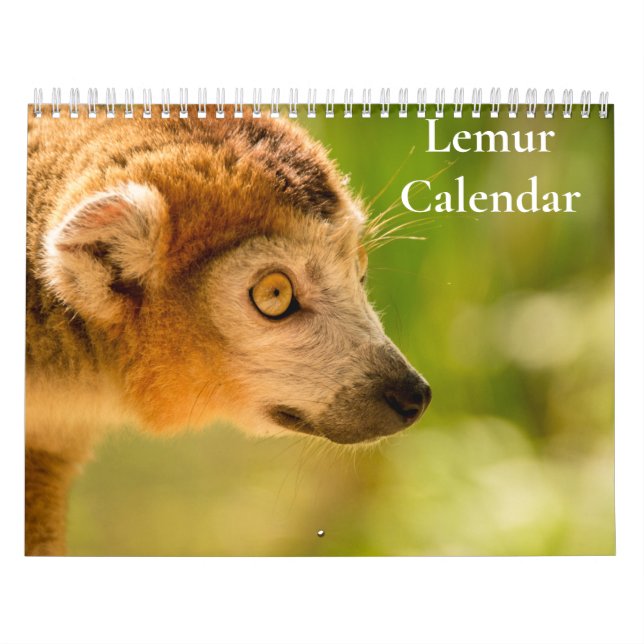Lemur Calendar 2027 (Cover)