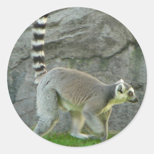 Lemur Classic Round Sticker (Front)