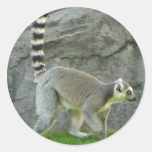 Lemur Classic Round Sticker