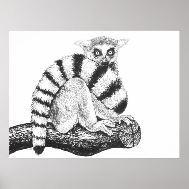 Lemur drawing poster (Front)