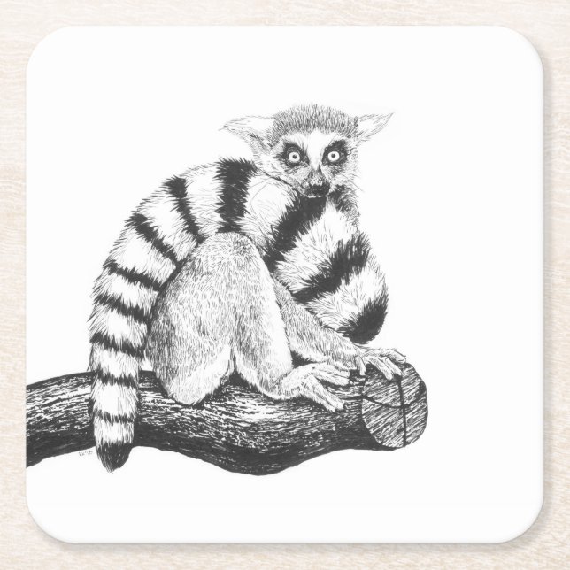 Lemur drawing square paper coaster (Front)