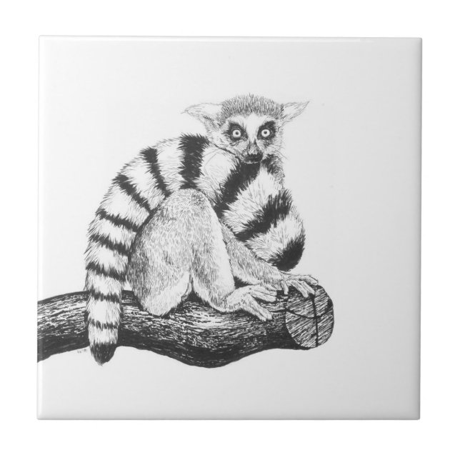 Lemur drawing tile (Front)