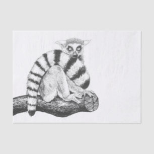 Lemur drawing tissue paper