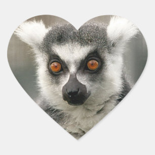 Lemur Heart Sticker
