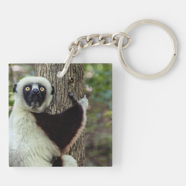 Lemur hugging a tree key ring (Back)