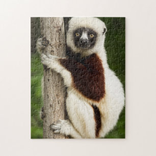LEMUR JIGSAW PUZZLE