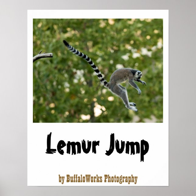 Lemur Jump Poster (Front)