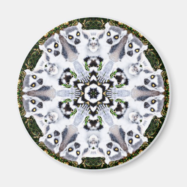 Lemur Kaleidoscope Magnet (Front)