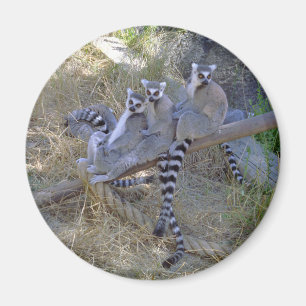 Lemur Line Magnet