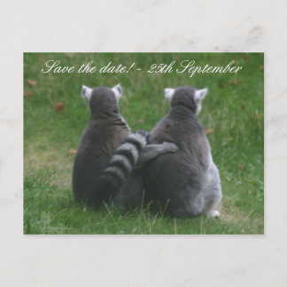 Lemur love! ... Save the date! Announcement Postcard
