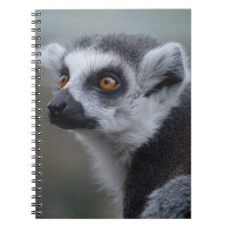 Lemur Notebook