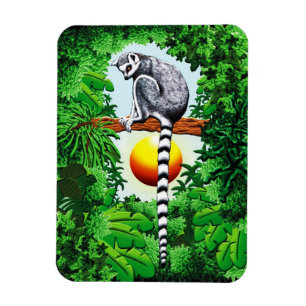 Lemur of Madagascar Magnet
