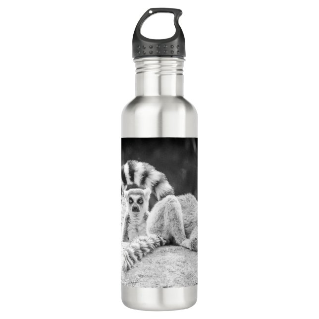 Lemur of Madagascar Water Bottle (Front)