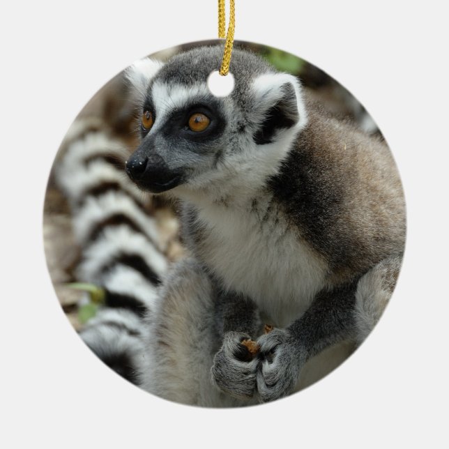 Lemur Ornament (Front)