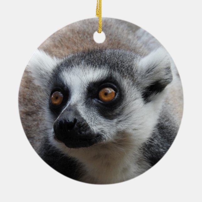 Lemur Ornament (Back)