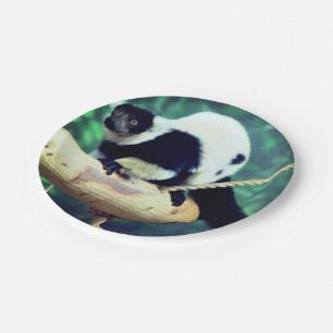 Lemur Paper Plate