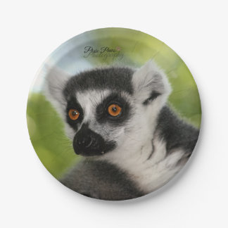 Lemur Paper Plates! Paper Plate