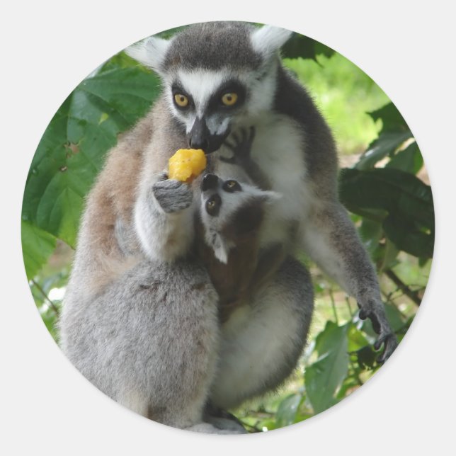 Lemur Sticker (Front)
