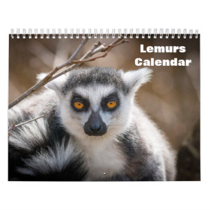 Lemurs 2027 calendar
