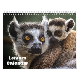 Lemurs 2027 calendar