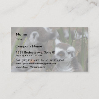 Lemurs Animals Business Card