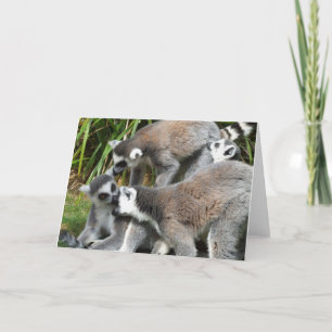 Lemurs Card