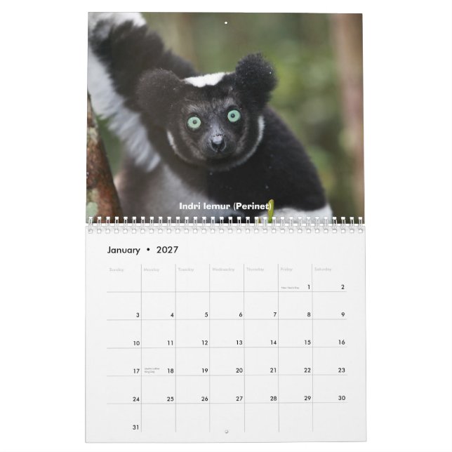 Lemurs of Madagascar Calendar (Jan 2027)