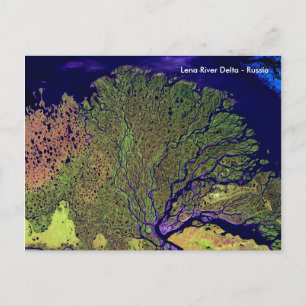 Lena River Delta from Space - Russia Postcard