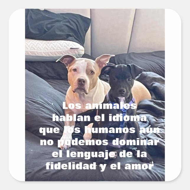 lenguaje animal square sticker (Front)