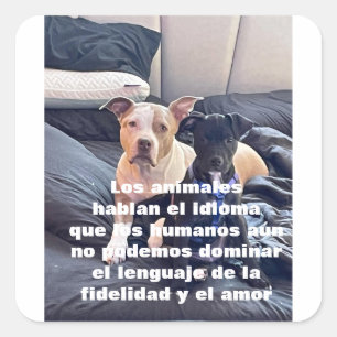 lenguaje animal square sticker