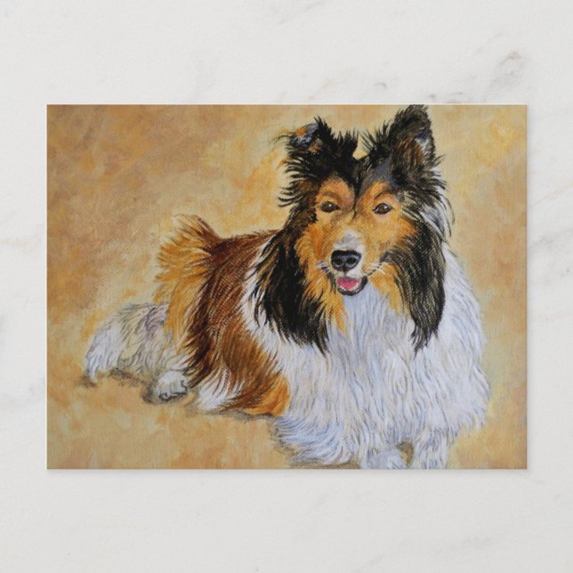 Lenny the Sheltie Postcard (Front)