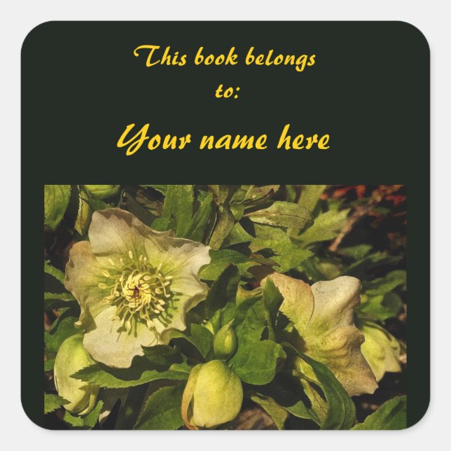 Lenten Rose Hellebore Bookplate Sticker (Front)