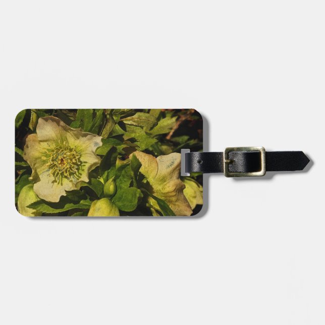 Lenten Rose Hellebore Luggage Tag (Front Horizontal)
