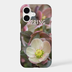 Lenten Rose SPRING