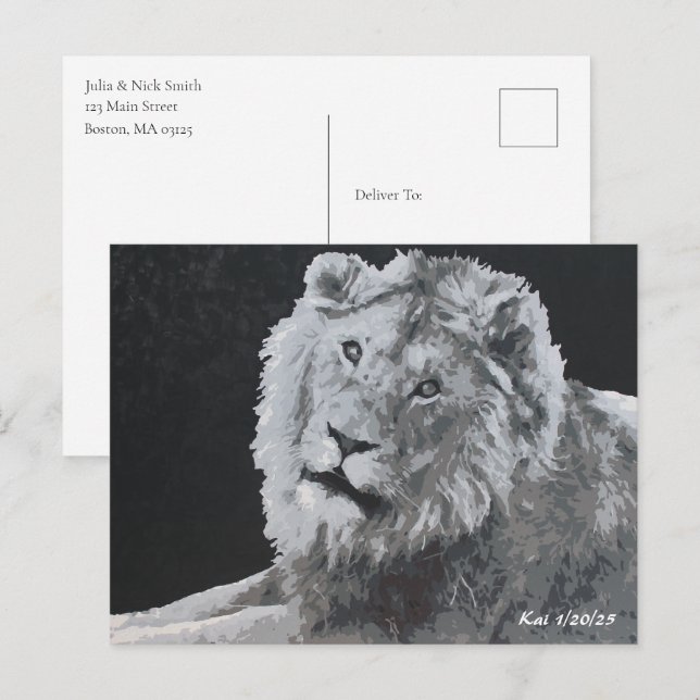 Leo, African Lion, Animal Postcard (Front/Back)