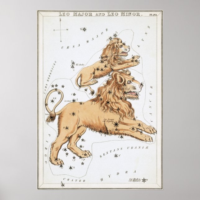 Leo Astrological Drawing Poster (Front)