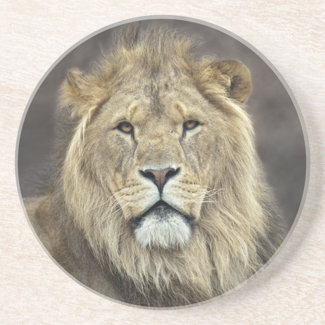 Leo Coaster (Front)