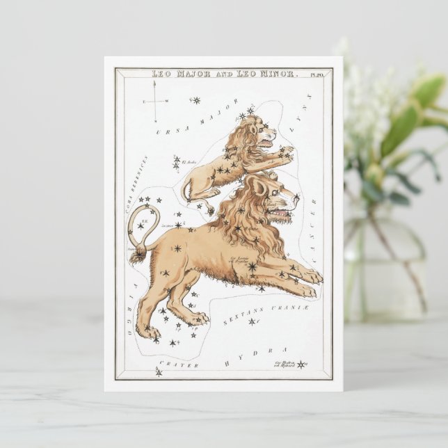 Leo - Constellation - Horoscope - Zodiac - Stars Invitation (Standing Front)
