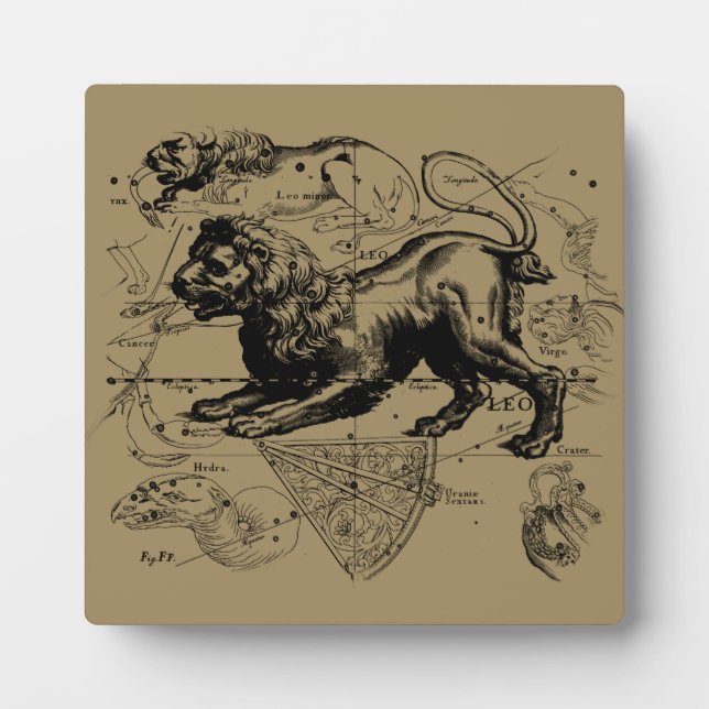 Leo Constellation Map Hevelius 1690 on Taupe Plaque (Front)