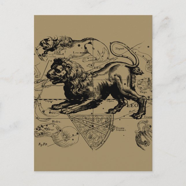 Leo Constellation Map Hevelius circa 1690 Postcard (Front)