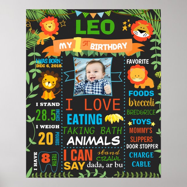 Leo Lions Jungle animals Wild Birthday Party Poster (Front)