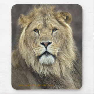 Leo Mousemat