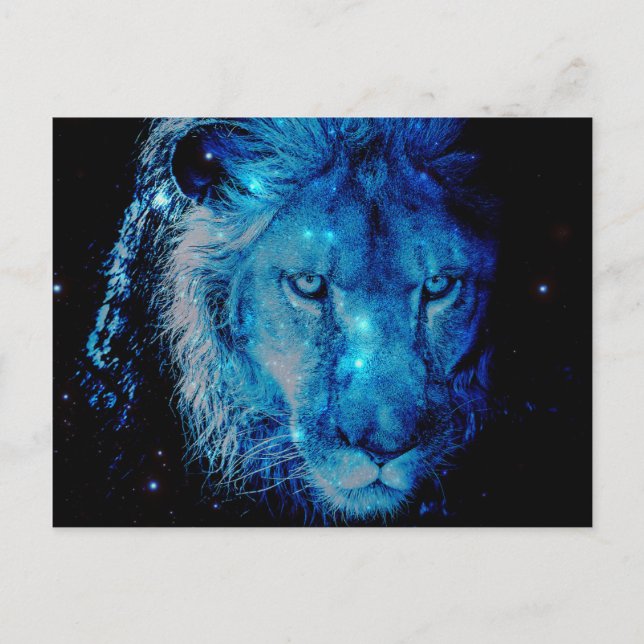 Leo Postcard (Front)