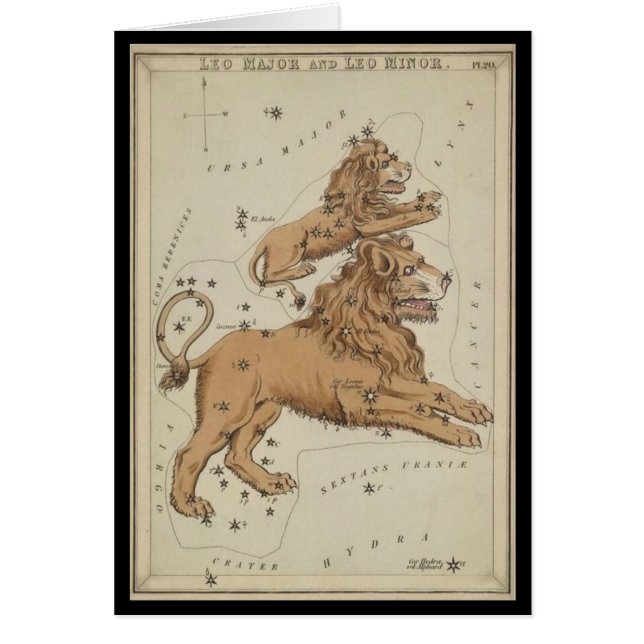 Leo the Lion (Front)