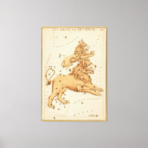 Leo The Lion - Vintage Sign of the Zodiac Image