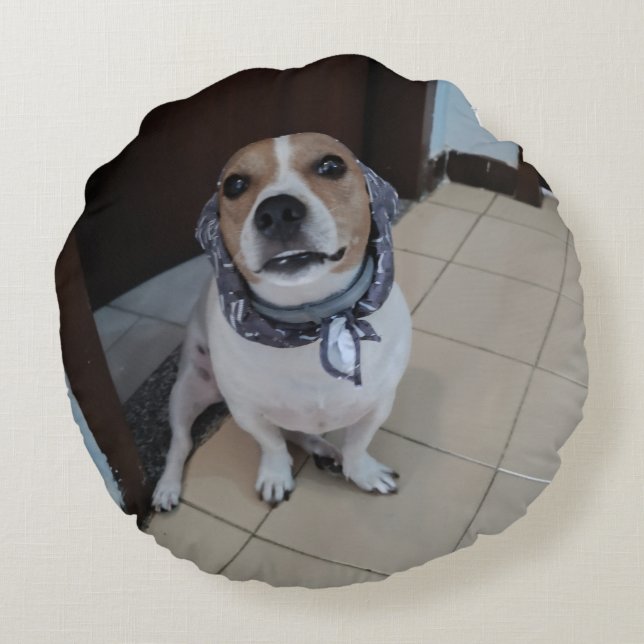Leo the sweet and friendly jack russell round cushion (Back)