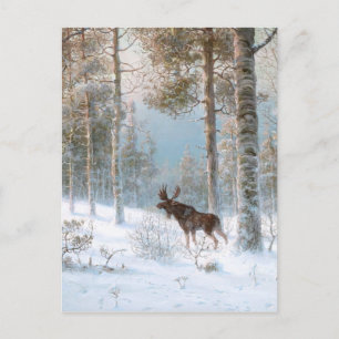 Leodinovich: Elk in the Forest Postcard