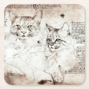 CRAZY CAT LADY DRINKS COASTER MAT SQUARE Animal Kitten Funny Quote