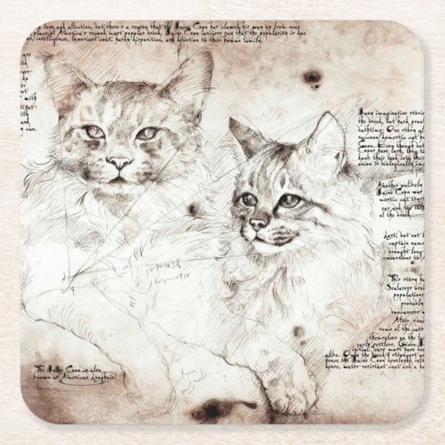 Leonardo da Vinci Cat Sketch Coaster (Front)